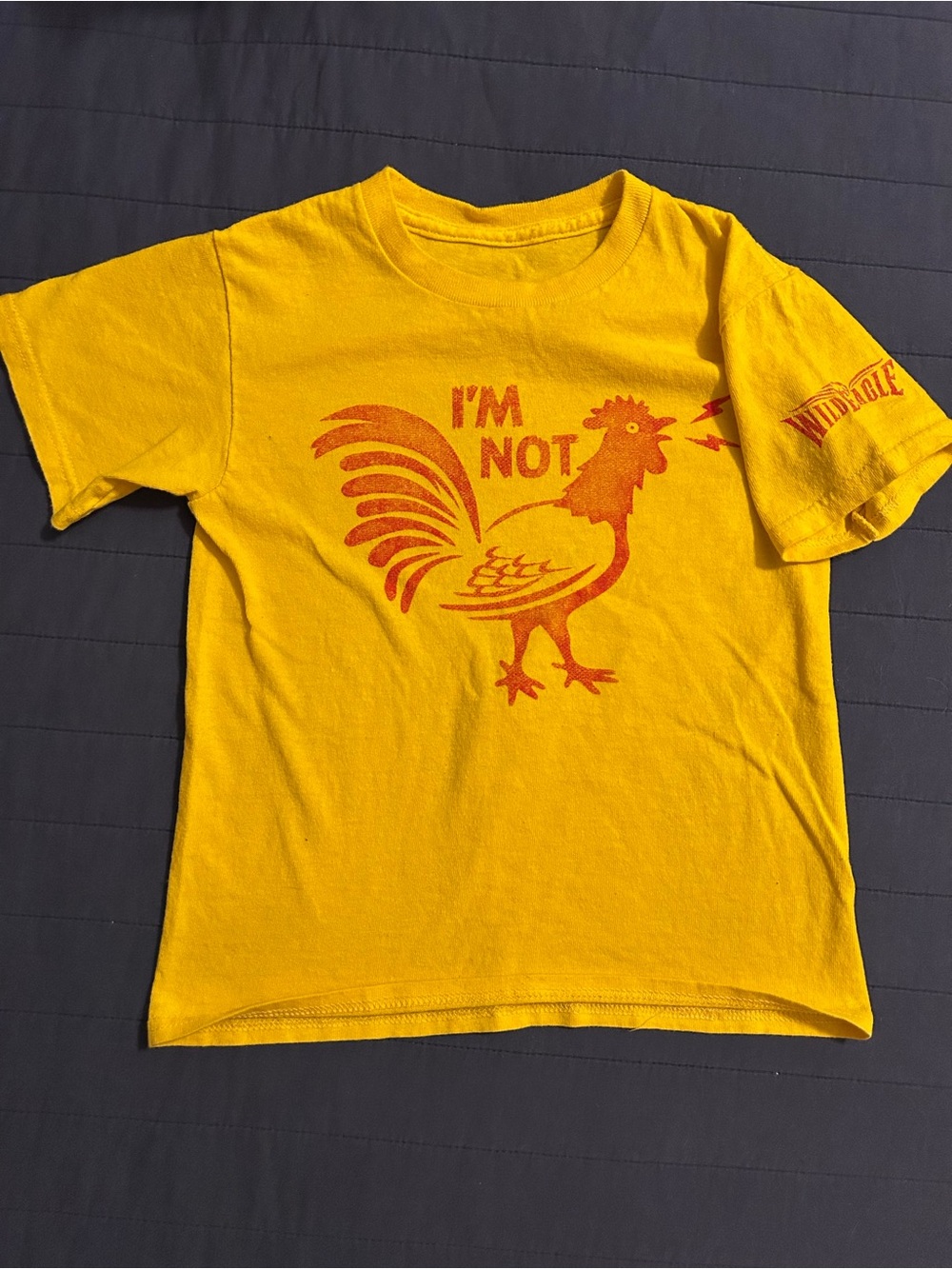 I’m Not Chicken - Dollywood
